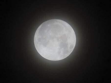 2023ブルームーン