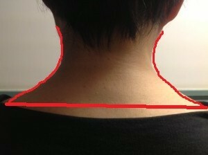 2cd24903a9663c2efa0337ab634c6e981-300x224