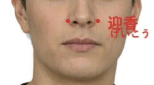 <img src="池袋整体-花粉症めまい対策2-JCC整体院.jpeg" alt="池袋のJCC整体院で花粉症やめまい対策施術を説明する画像">
